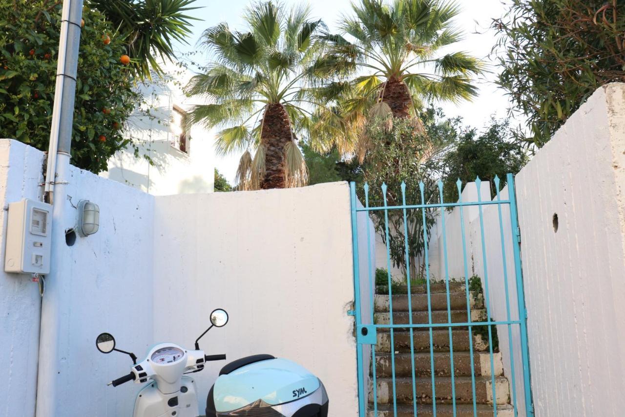 Vagia Yvi'S Greek Houseアパートメント エクステリア 写真