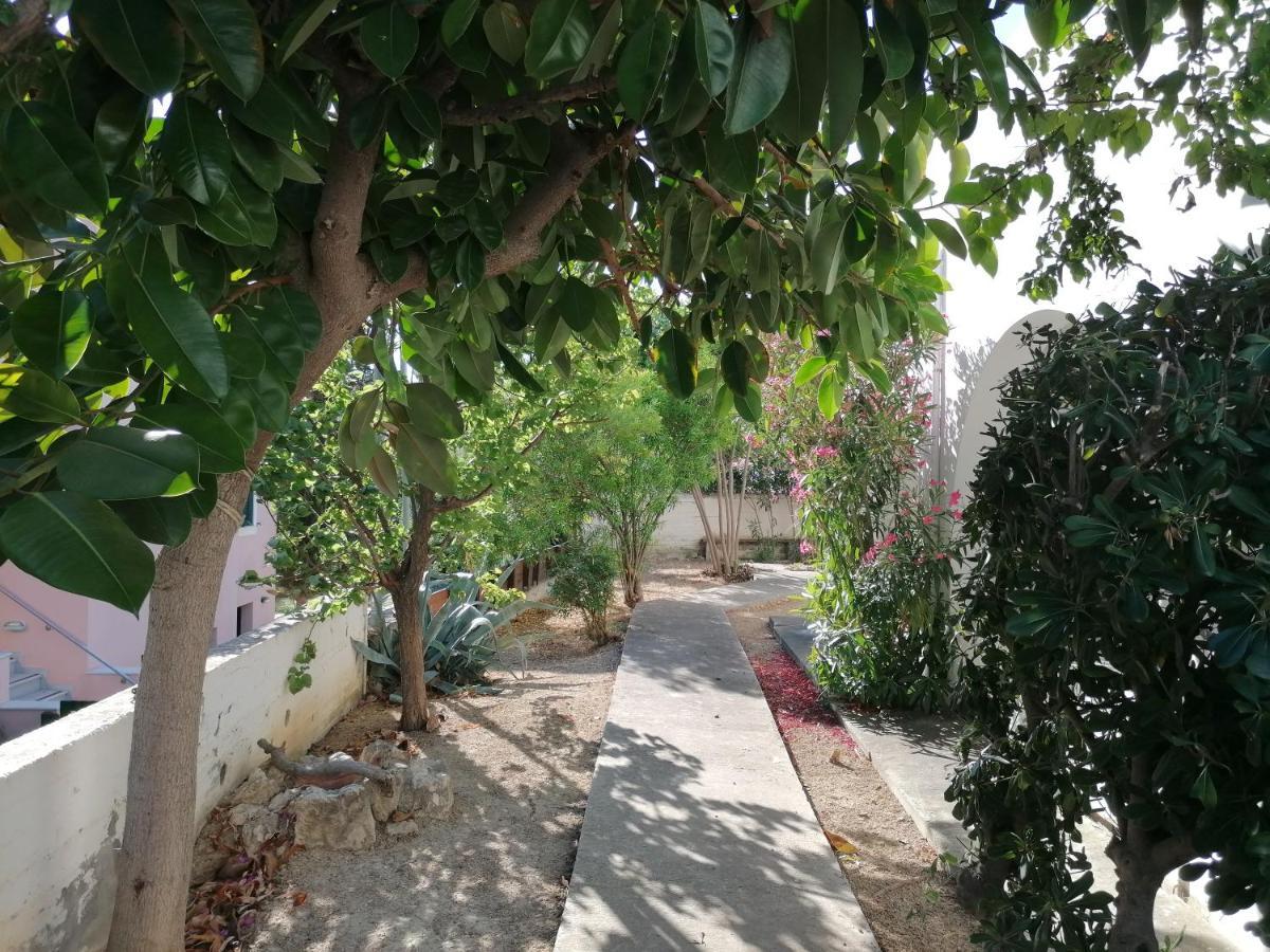 Vagia Yvi'S Greek Houseアパートメント エクステリア 写真